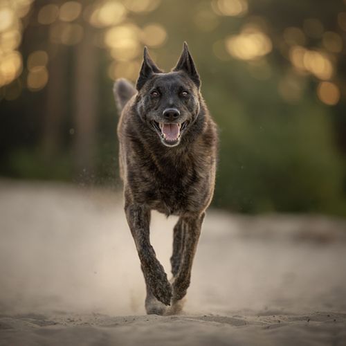 Volledige fotoshoot t.w.v. &euro;150