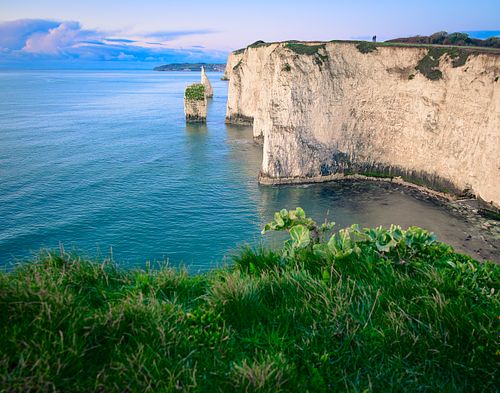 The Pinnacles at Old Harry Rocks