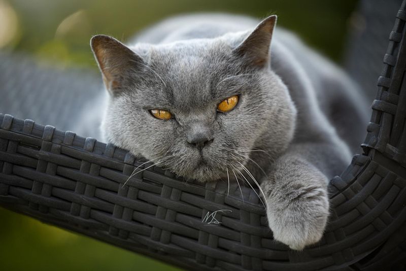 Do’s & don’ts voor je foto’s na de shoot