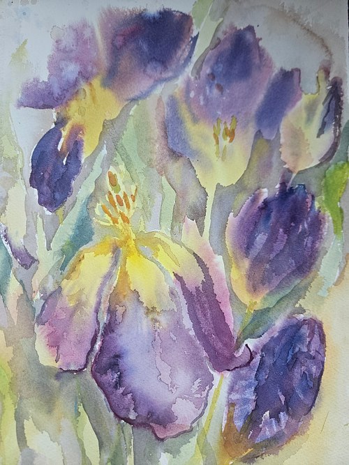 Tulips