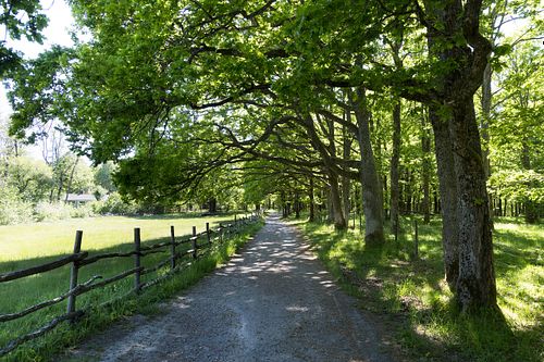Im Nationalpark Jomfruland