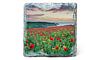 Slate Coaster - Coastal Poppies