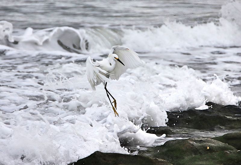 When Creativity Feels Like Still Water