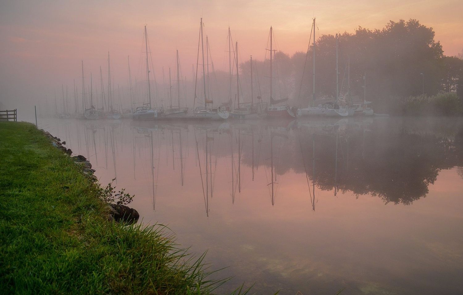 Caill'Art Photographie