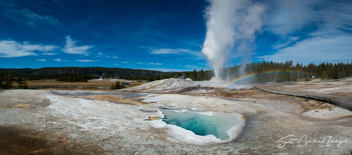 Lion's Roar Panoramic