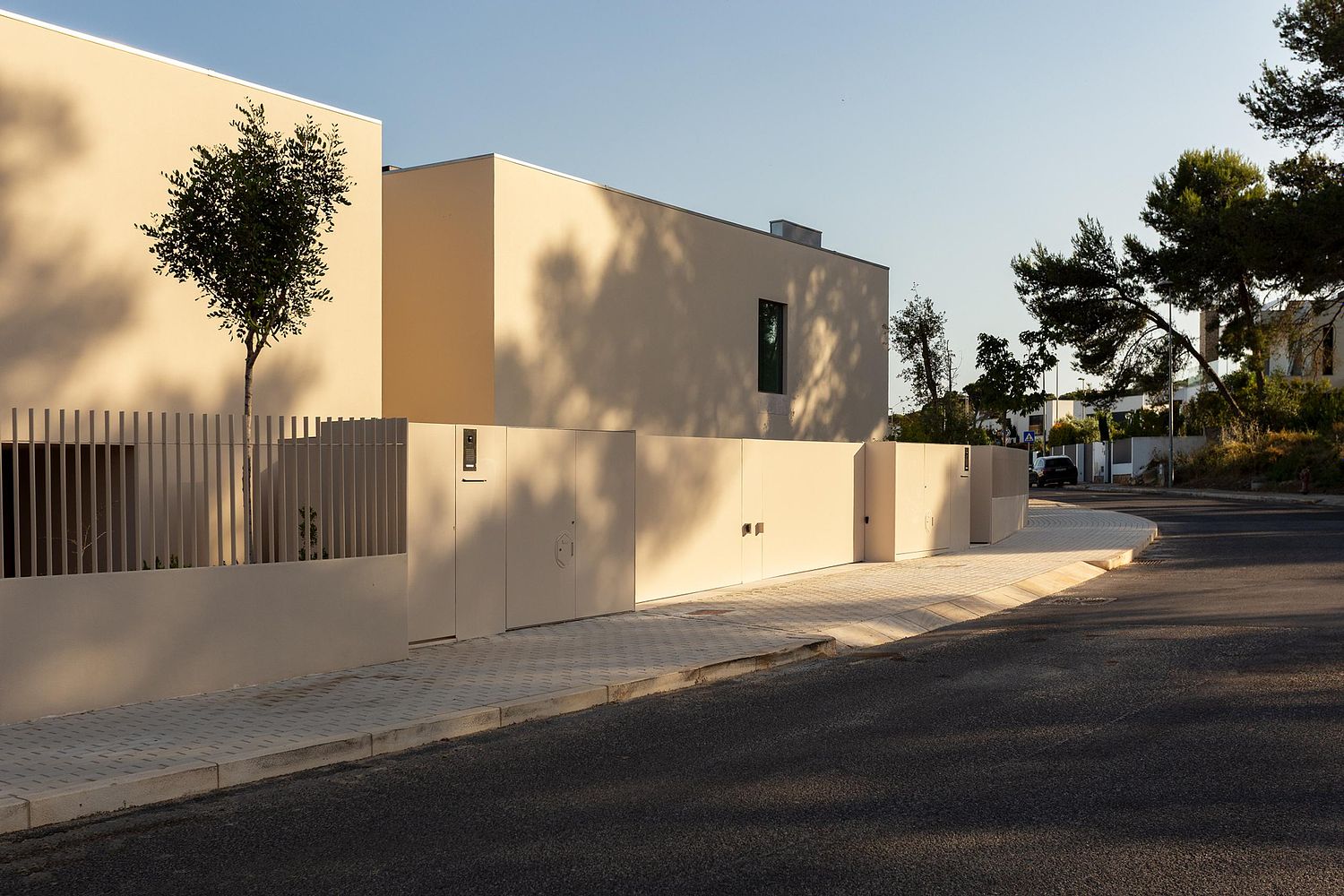 PEDRO BRÁS PHOTOGRAPHY