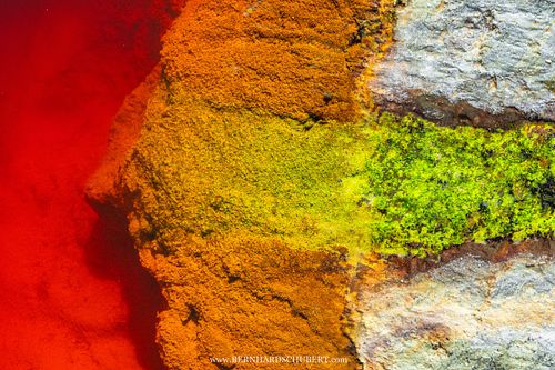 Leben, das sich dem Tod zuwendet