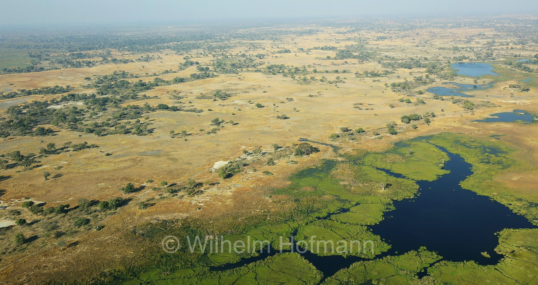Okavango Delta, Okavango Grassland, Botswana, Republik Botsuana
