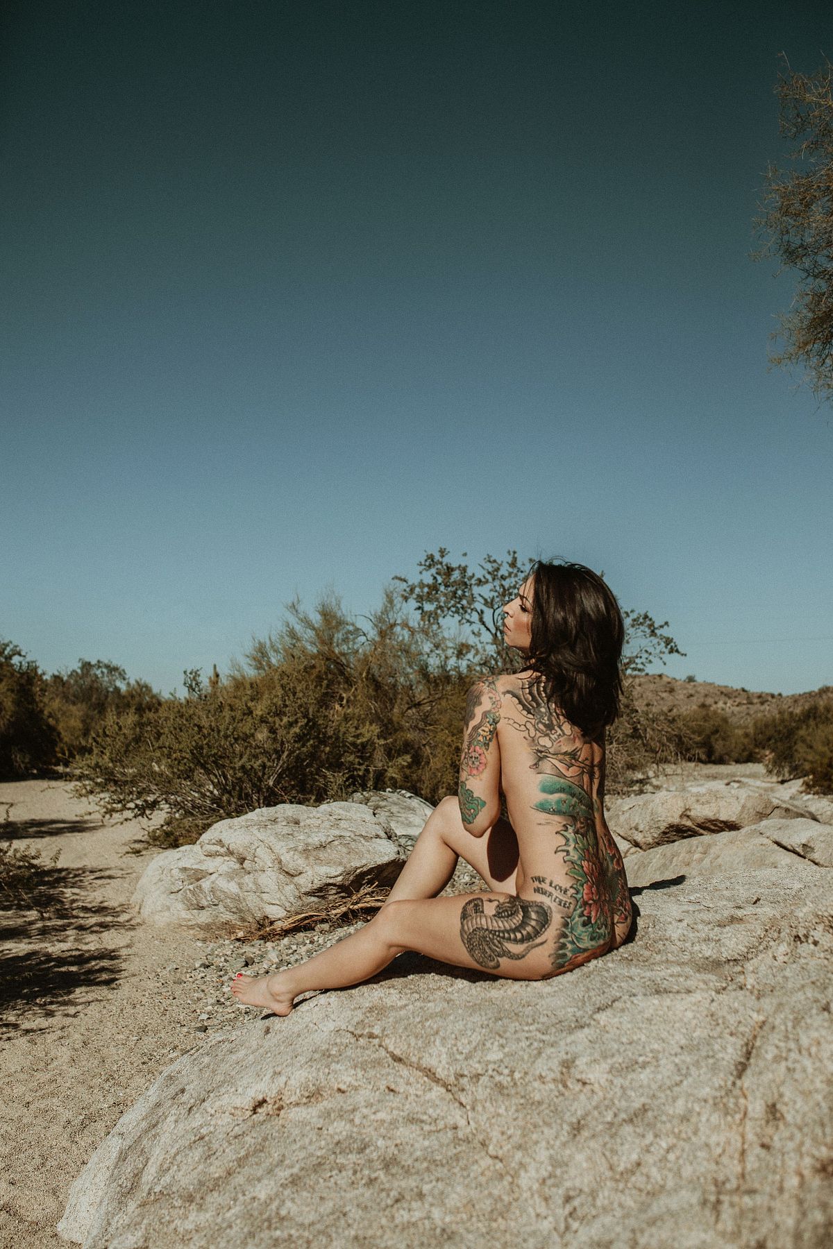 Artistic nude boudoir photo with a woman embracing nature on warm desert rocks.