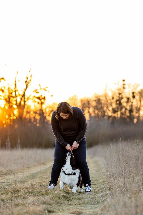 Corgi und Mensch schauen sich an und stehen auf einer Wiese bei Sonnenuntergang - Iris Sauermann Tierfotografie Rheinland