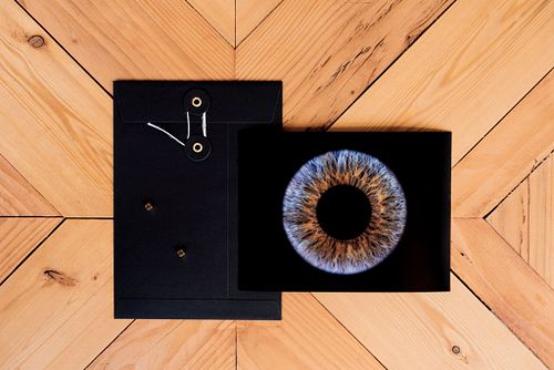 Die wichtigsten Eckdaten