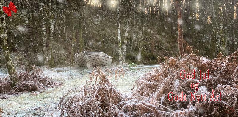 God jul og godt nytt år!