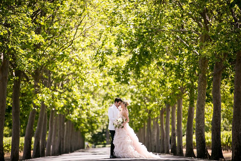 Romantic Napa Wedding :: BEAULIEU GARDENS