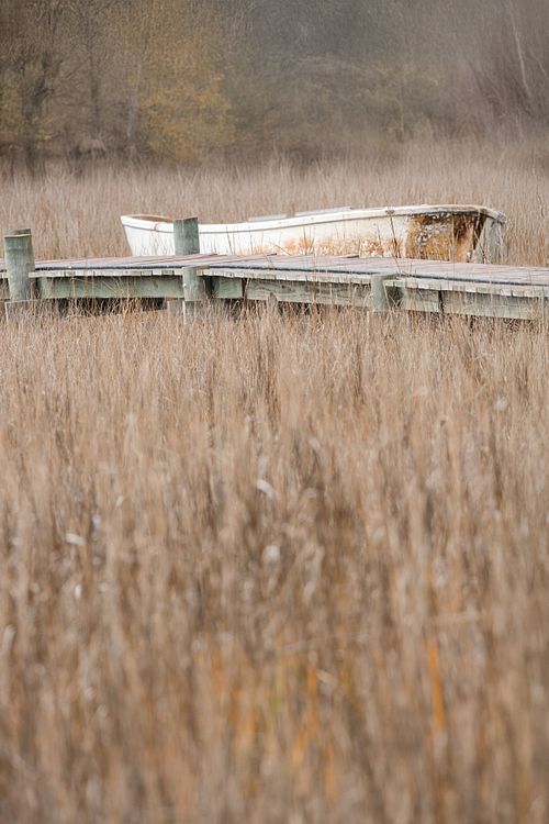 Weathered Rowboat on a Marsh Dock