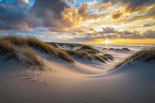 Duinen