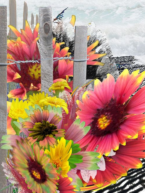 FLOWERS, TREES & HAIR