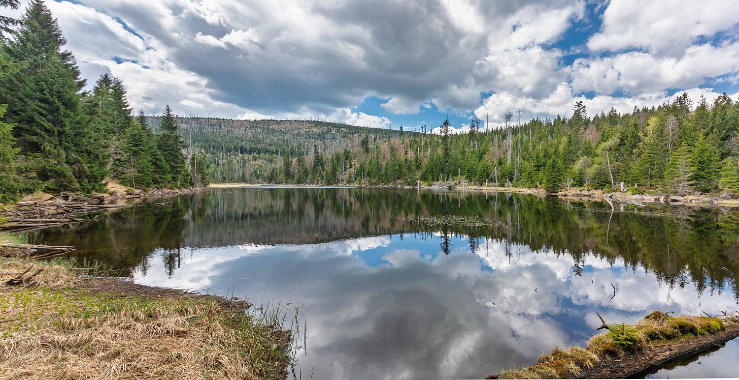 Lake Laka Sumava pano