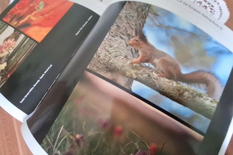 Fotokonkursist osavõtmise järel tabas meeldiv üllatus.