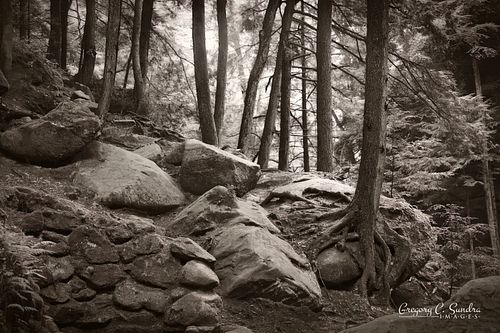 Boulders and Trees