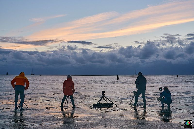 Midweek Oostelijke Waddenzee 5 dagen (4 - 8 mei 2026)