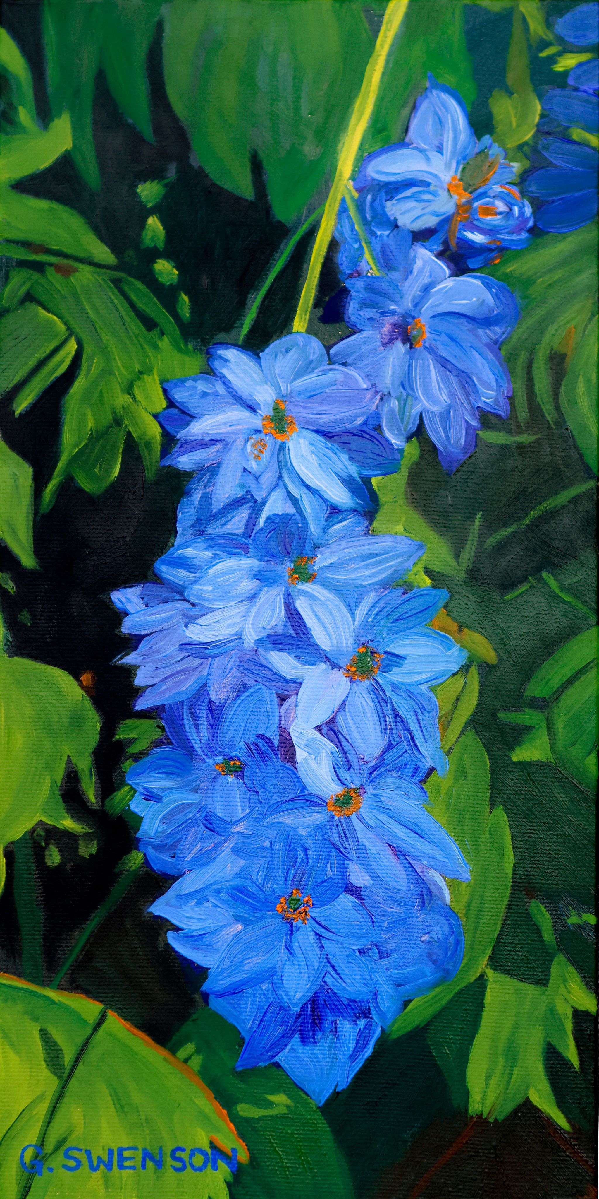 Delphinium