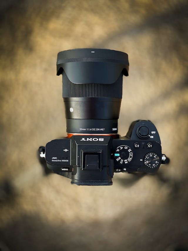 Wildlife Photography: Are You Using Aperture Priority or Manual?