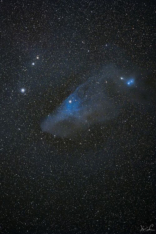 IC 4592  -  Blue Horsehead Nebula