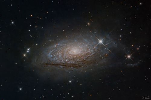 M 63   Sonnenblumen Galaxie