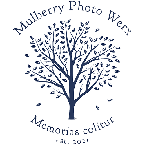 Esther Norr (they/them)