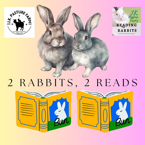Two Rabbits, Two Reads