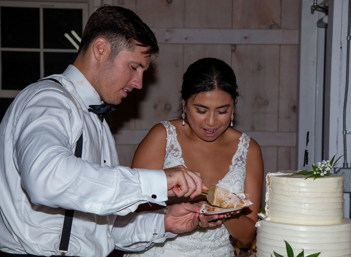 bride and groom cutting the cake