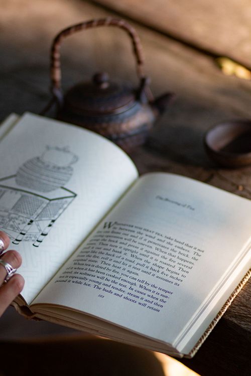 FOR THE MAIDEN, MOTHER, WILD WOMEN & SAGE.