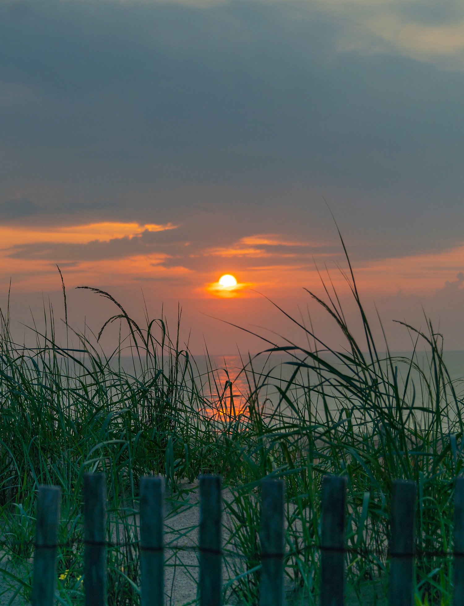 Aaron Engel Photography
