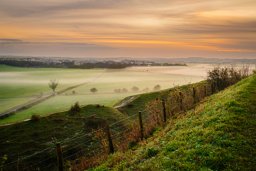 Portfolio and Gallery