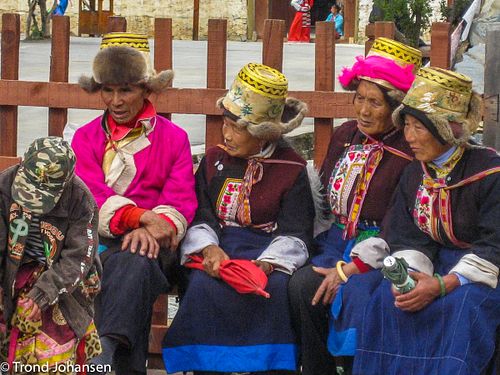 FREEDOM FOR TIBET AND ENVIRONMENT