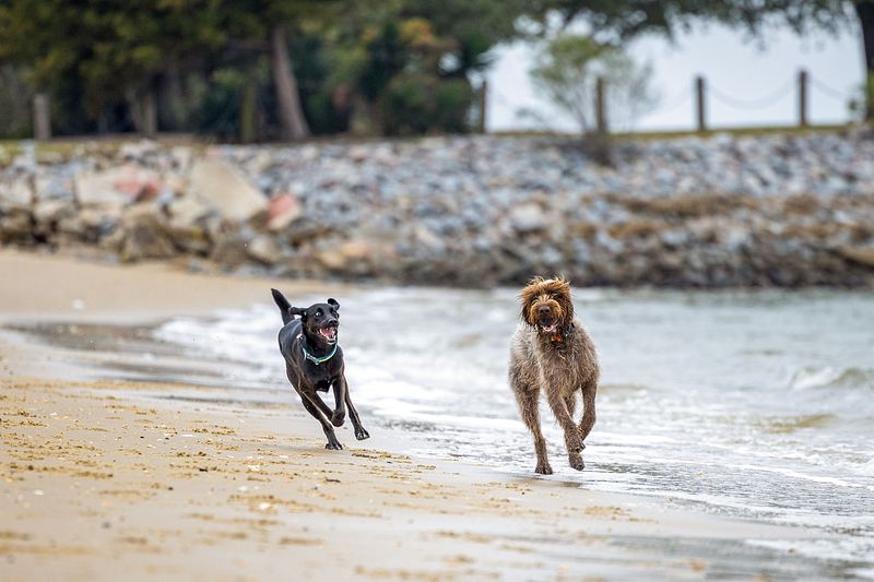 Demetre Park 12-8-25