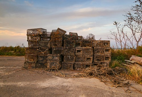 Stacked Lobster pots
