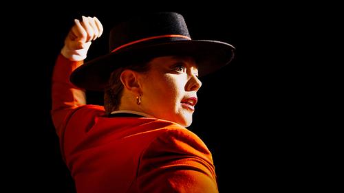 Danseuse de flamenco en Andalousie, costume traditionnel, geste expressif, photo 2