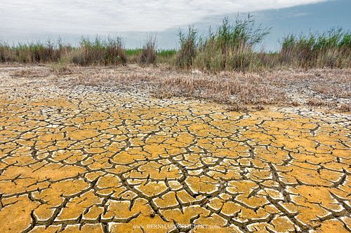 Lake Neusiedl dry mud