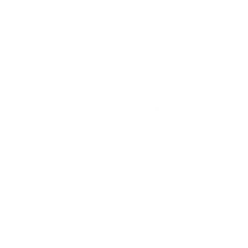 BobbieBlox