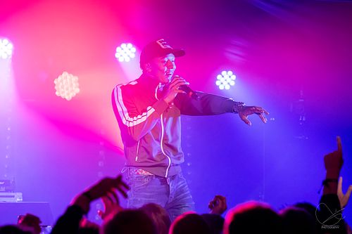 Palmekystfestivalen 2022