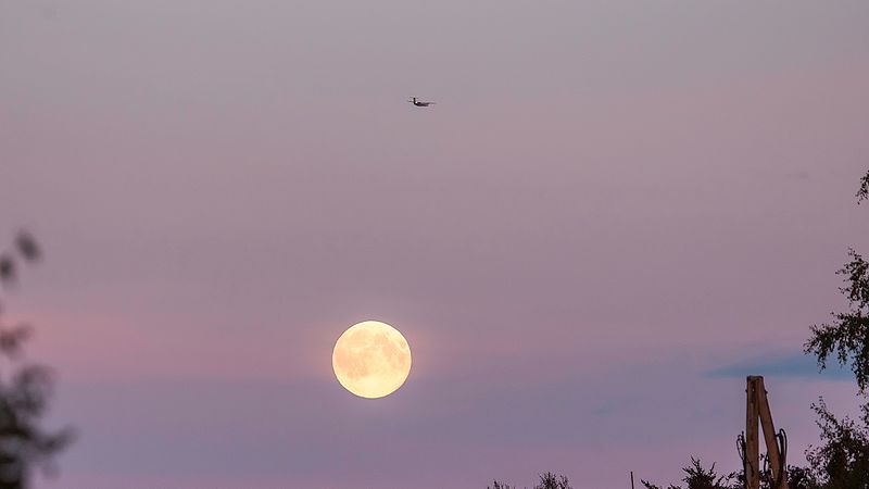 Studioet er ope til kl 17:00 denne veka