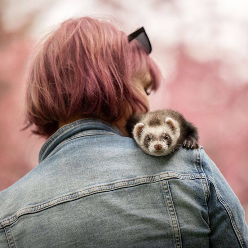 7 ideeën voor foto's samen met je huisdier