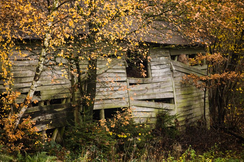 the shack