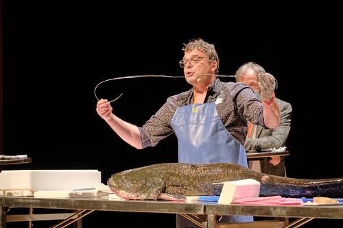 reportage,evenementiel, salon, seminaire,colloque, entreprise,salon