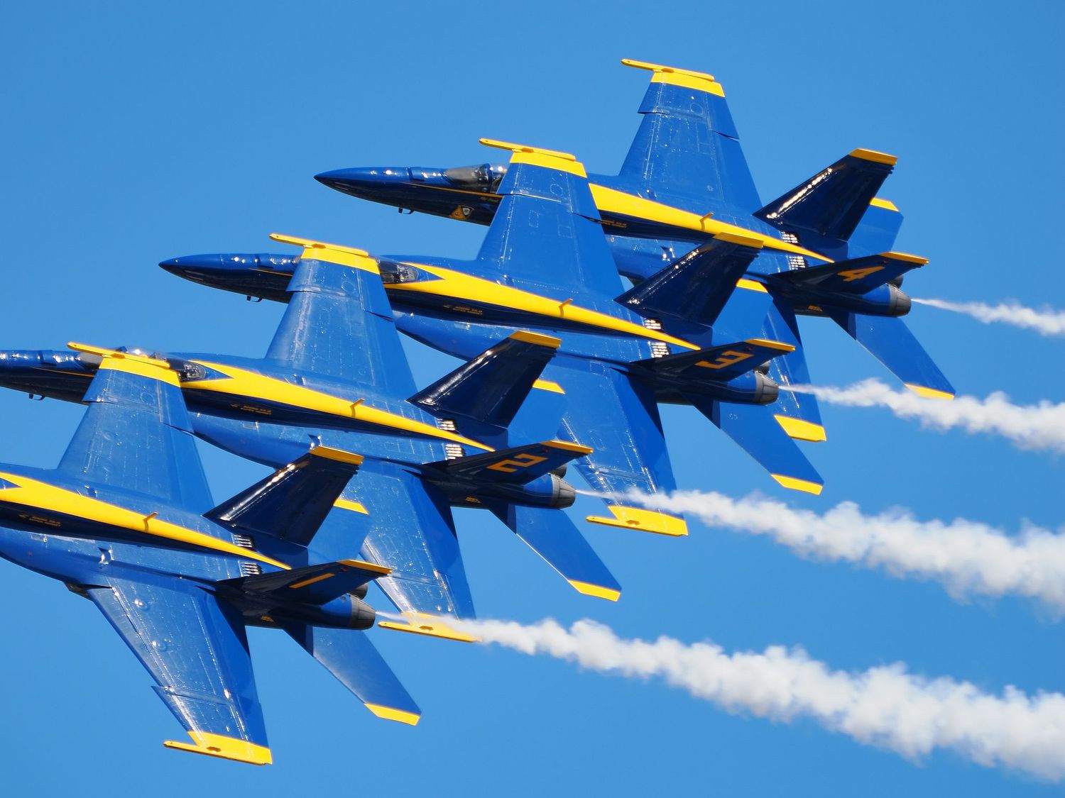 Jason Lynch Photography