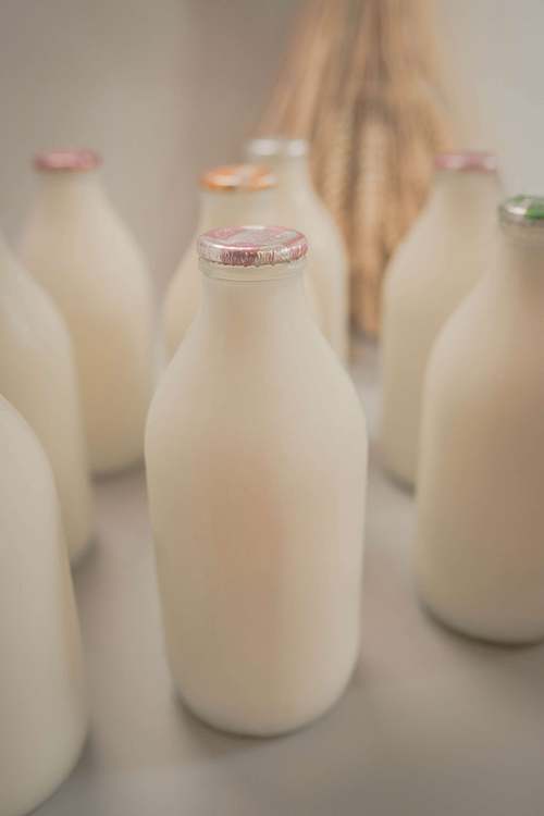 Glass bottles of fresh milk arranged on a wooden surface in soft natural light
