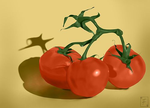 Tomatoes on the Vine