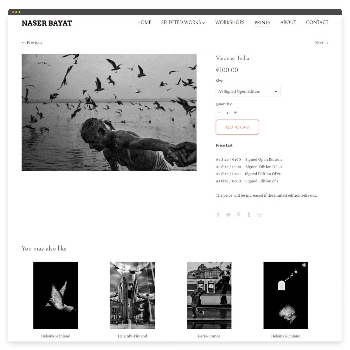 Bild der Fotografie-Portfolio-Website von Naser Bayat
