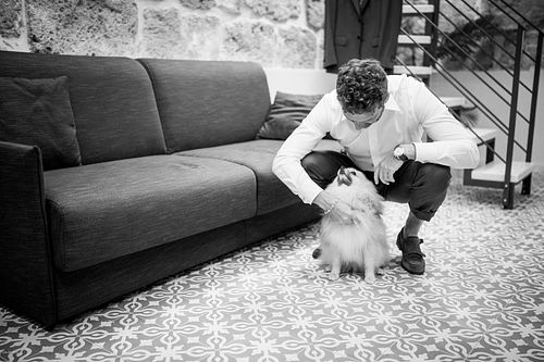 "sposo carezza il cane volpino"